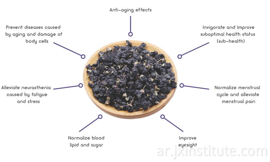 Black Wolfberry